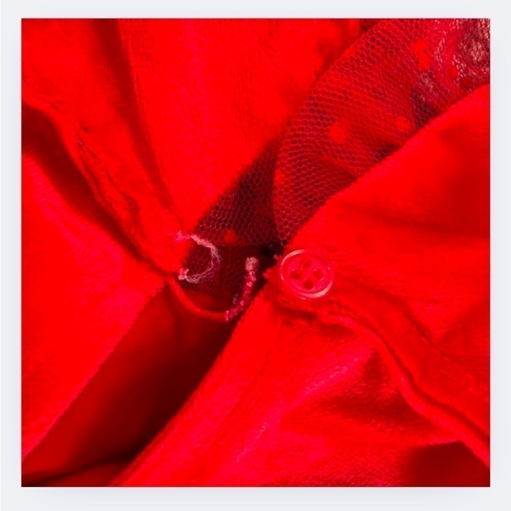 Zara Red Polka Dot Tulle & Velvet Dress with Cape - Picture 7 of 12